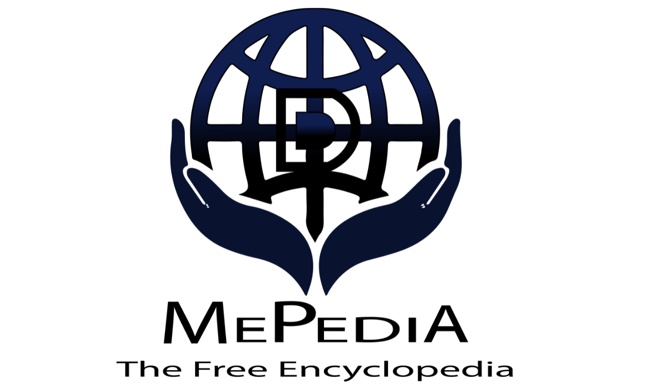 Is There an Alternative to Wikipedia? Exploring Mepedia